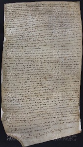 63 B.17.LXIIIr, Investitura fatta da Ingone vescovo a favore di Martino da Vignola e di Martino da Collegara, Dugliolo (castel di), [1030-1031, gen. 23]